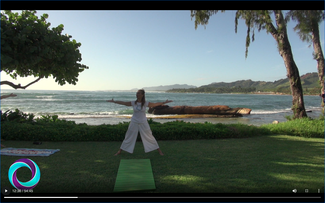 Yoga on Kauai - Kauai Advisor Yoga Kauai, Yogalign, Yoga on the beach