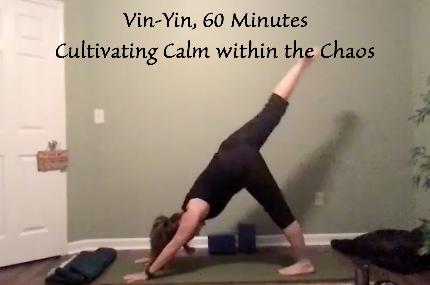 ON DEMAND 60 min. Yin Yoga for the Side Body w/ Krista — One Love Yoga &  Wellness