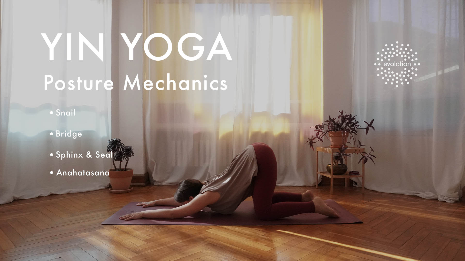 Exercise for PCOS: How Yoga Can Support Your Hormone Health – MyOva