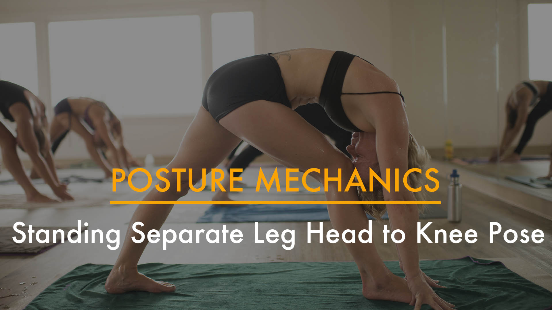 Just a few benefits you will learn about Standing head to knee pose —  Dandayamana Janusirasana throughout the trainin… | Yoga teacher training,  Hot yoga, Yoga poses