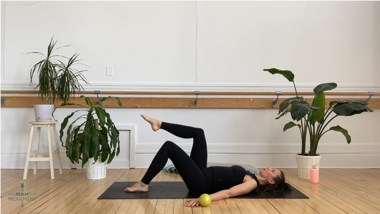 Your online Pilates space. Pilates videos for your at home Pilates  practice. — Muse Movement Studio