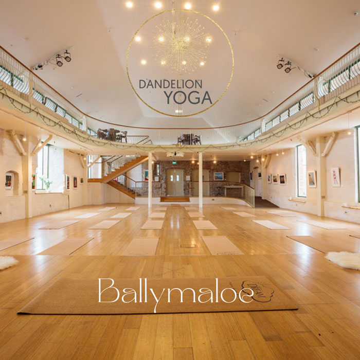 Weekly Yoga Karate and other classes in East Cork - Ballymaloe Grainstore
