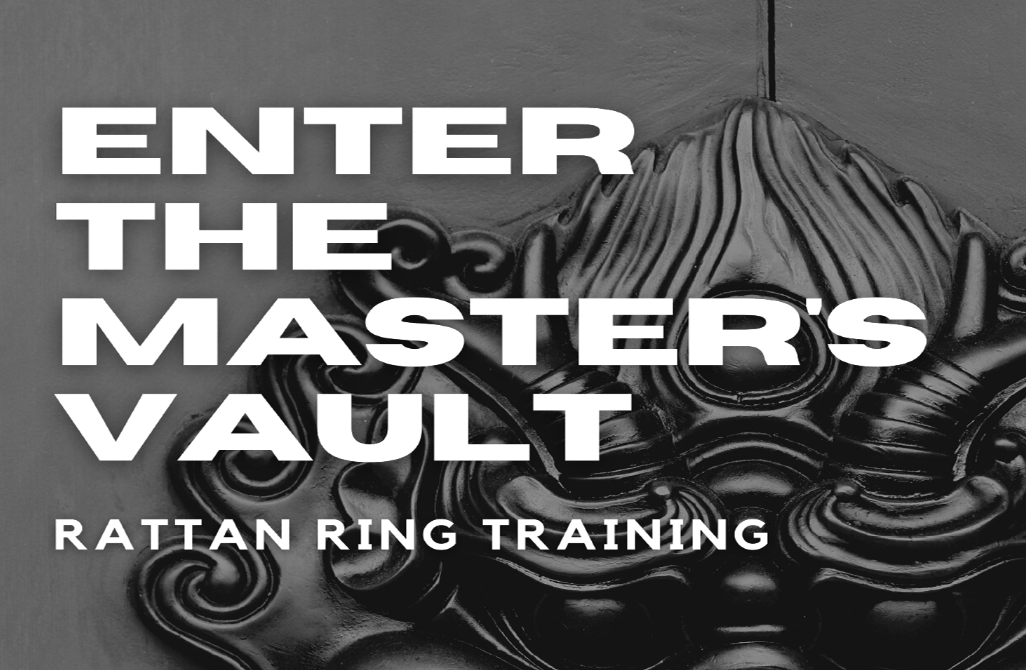 The Master's Vault TTRPG Artikel-Spielsteine – 150 Doppelseitige Chips – Für Fantasy-Rollenspiele – Mit Waffen, Rüstungen, Tränken & Magie – Praktische Referenz – Pokerformat – Perfektes Geschenk Für Gamer