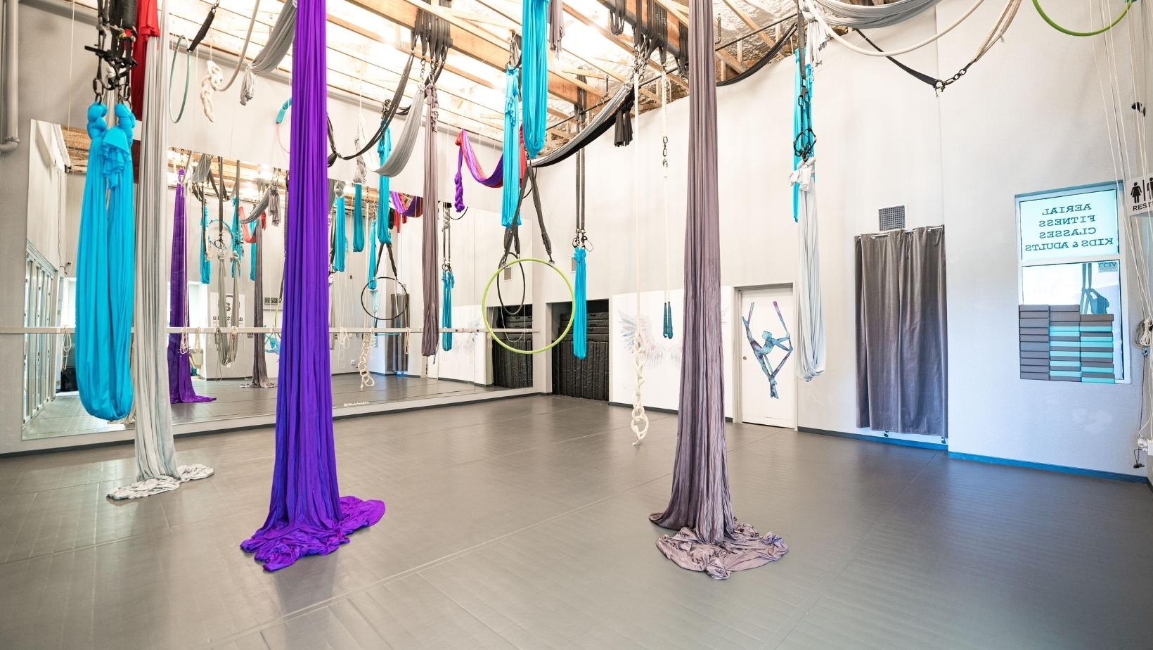 Intro Offer Explore 4 Classes 60 Altitude Pole Fitness And Aerial Arts