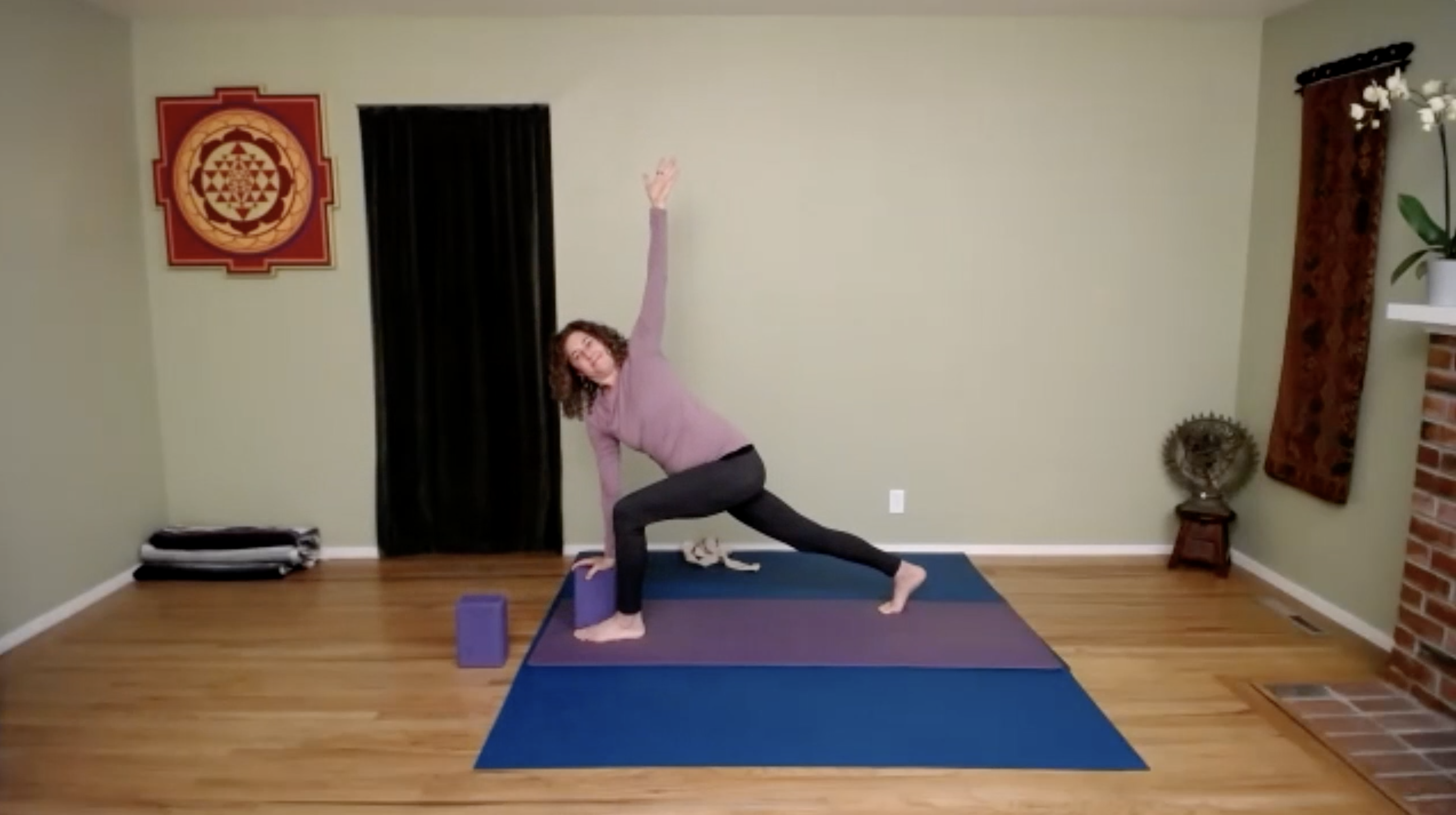 Instructional yoga videos, Vessy Konstantinova