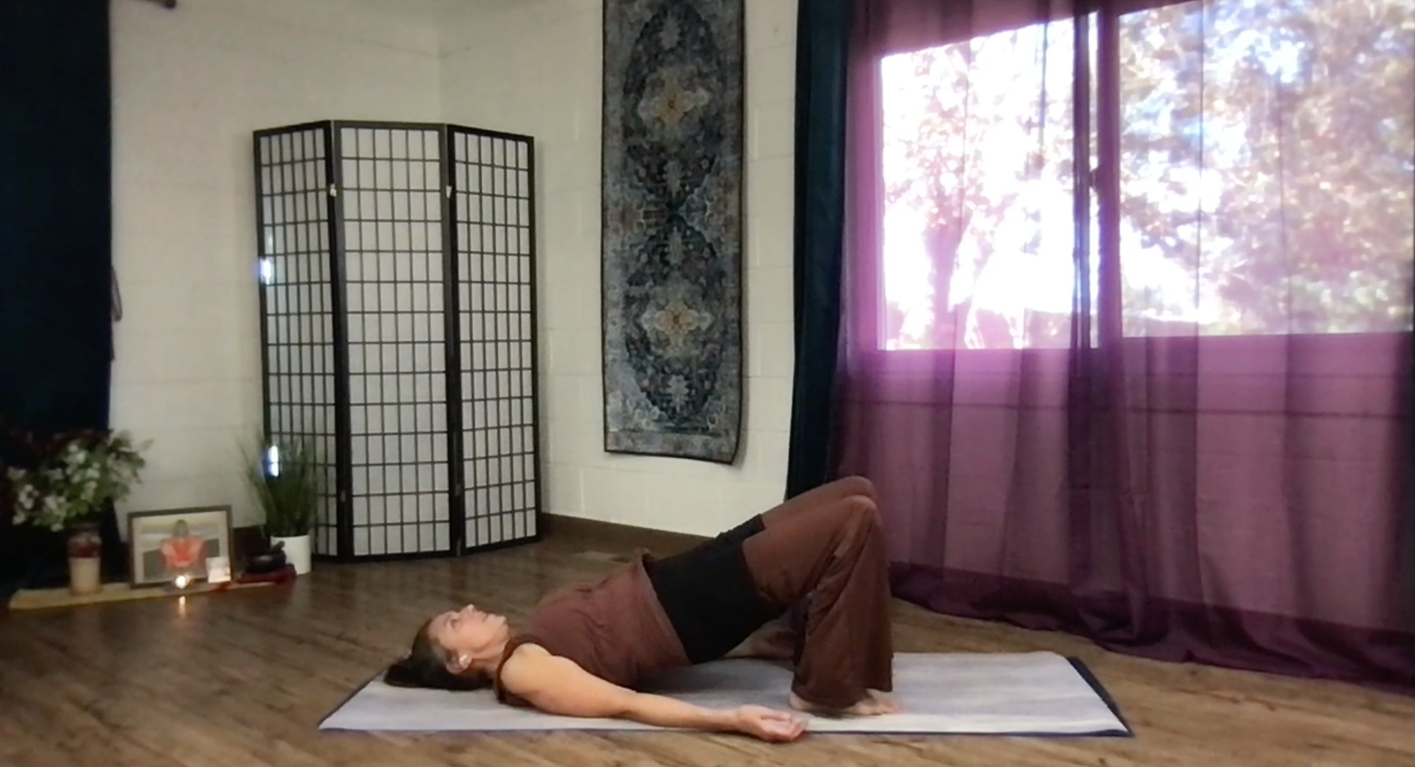 Ananda Yoga Instructional Videos 