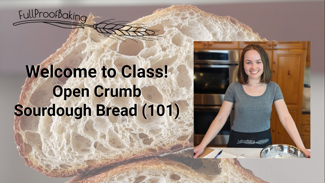 Open Crumb Sourdough Bread — Delectably Mine