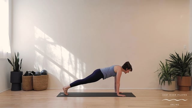 Leg Pull Front on the Mat  Online Pilates Classes 