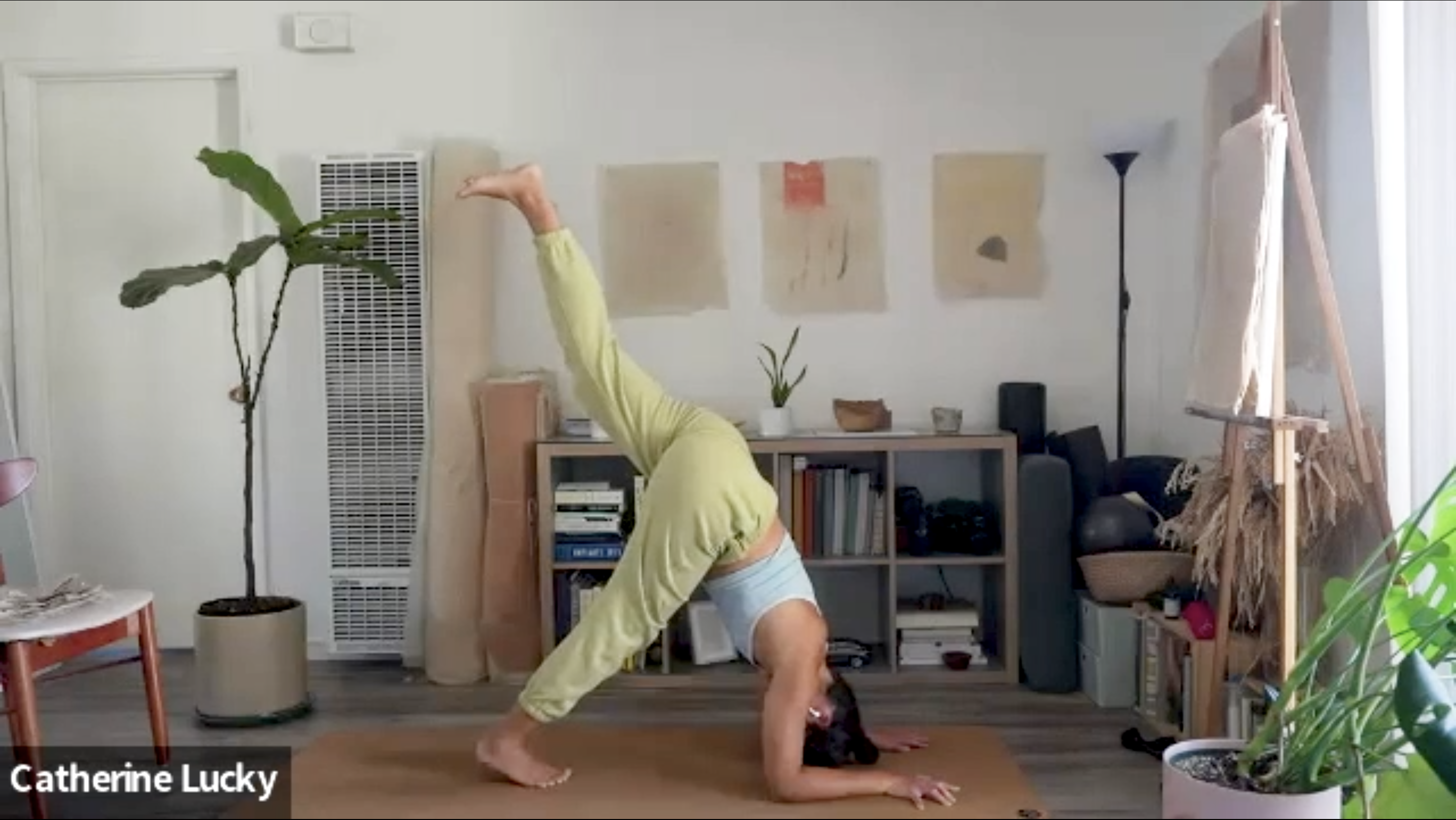 Home  Yoga Place