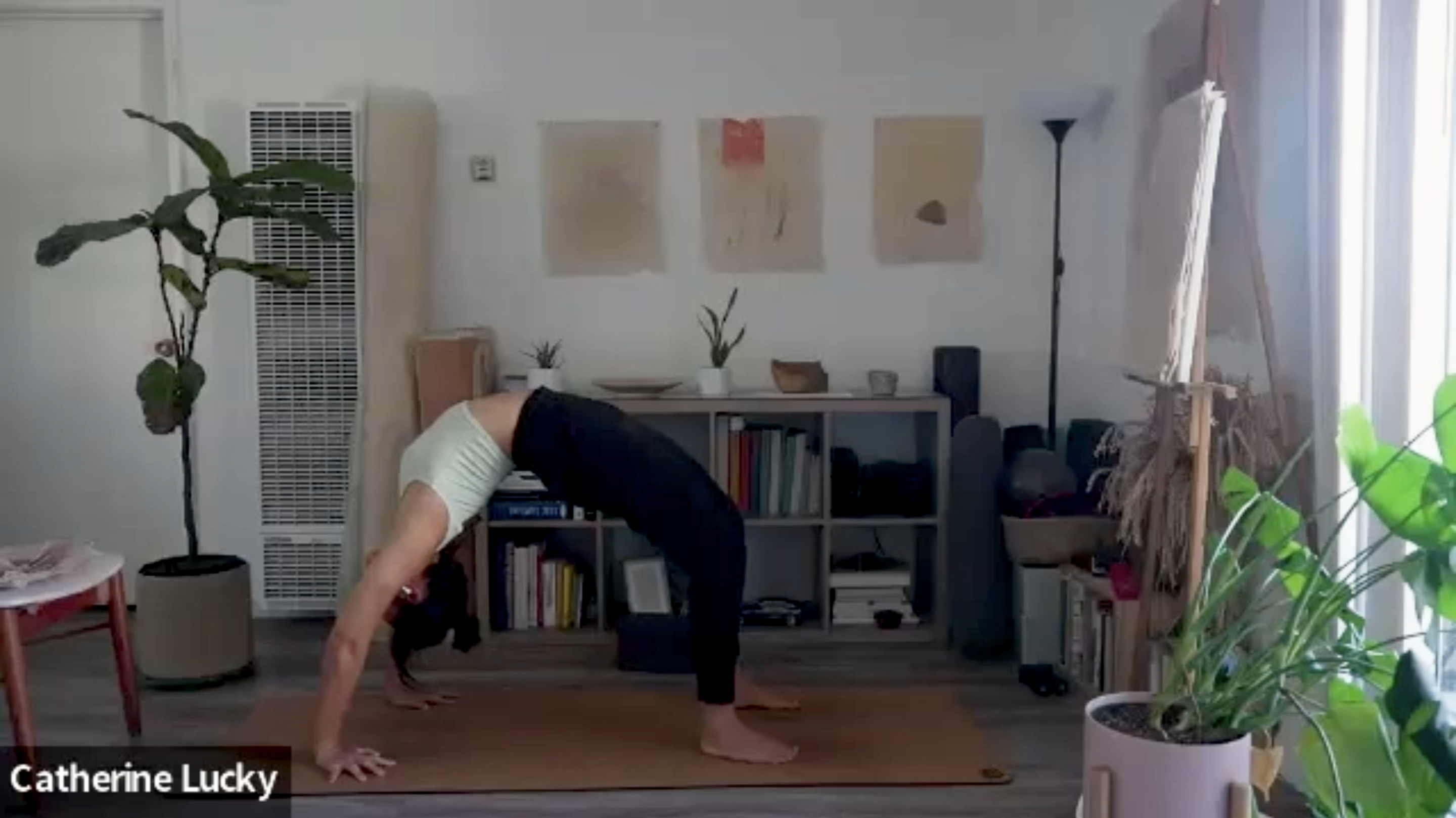 Home  Yoga Place